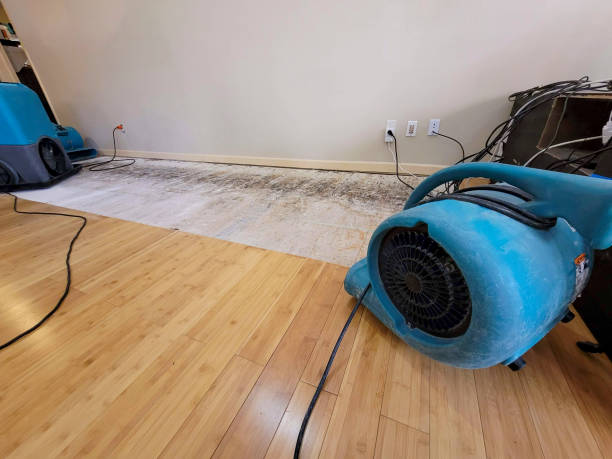 Professional Structural Drying technician working in Windsor, MO
